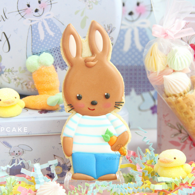 Πασχαλινή φόρμα για μπισκότο για πασχαλινό μπισκότο σε σχήμα κουνελιού PLA Πλαστική επαναχρησιμοποιήσιμη διακοσμητής κέικ με πίεση χεριών