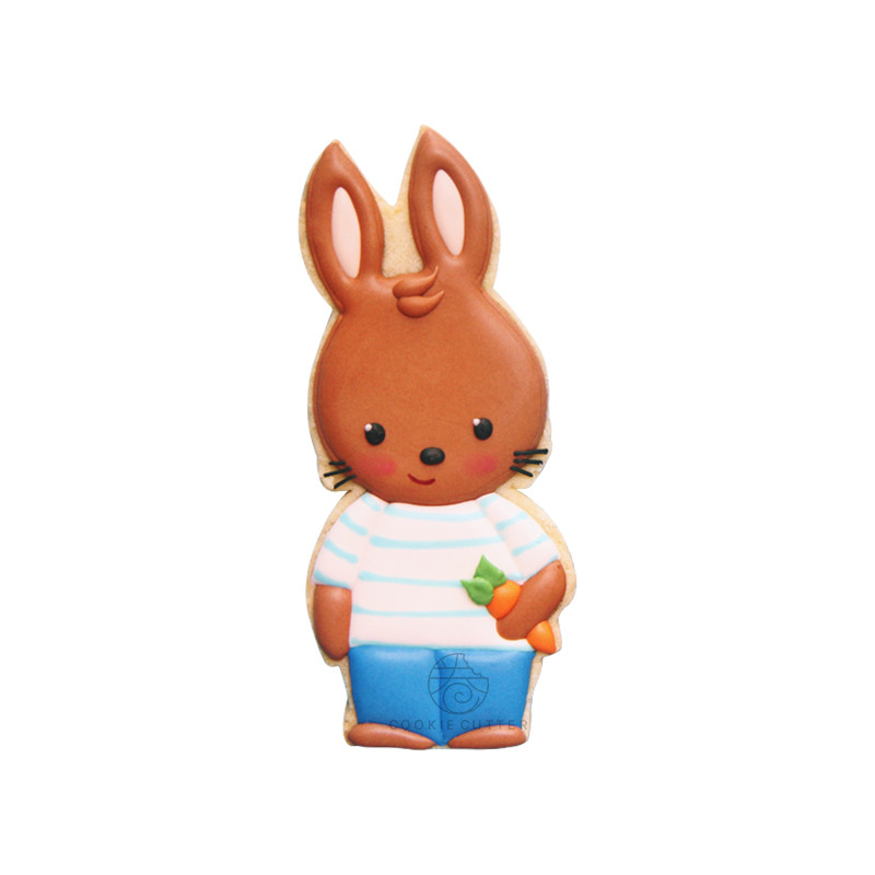 Πασχαλινή φόρμα για μπισκότο για πασχαλινό μπισκότο σε σχήμα κουνελιού PLA Πλαστική επαναχρησιμοποιήσιμη διακοσμητής κέικ με πίεση χεριών