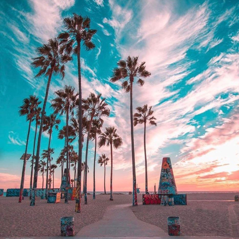 Bikini sexy cu imprimeu de vară Costum de baie pentru femei Push Up Costum de baie pentru femeie 2022 Costum de baie pentru plajă Set de bikini pentru plajă