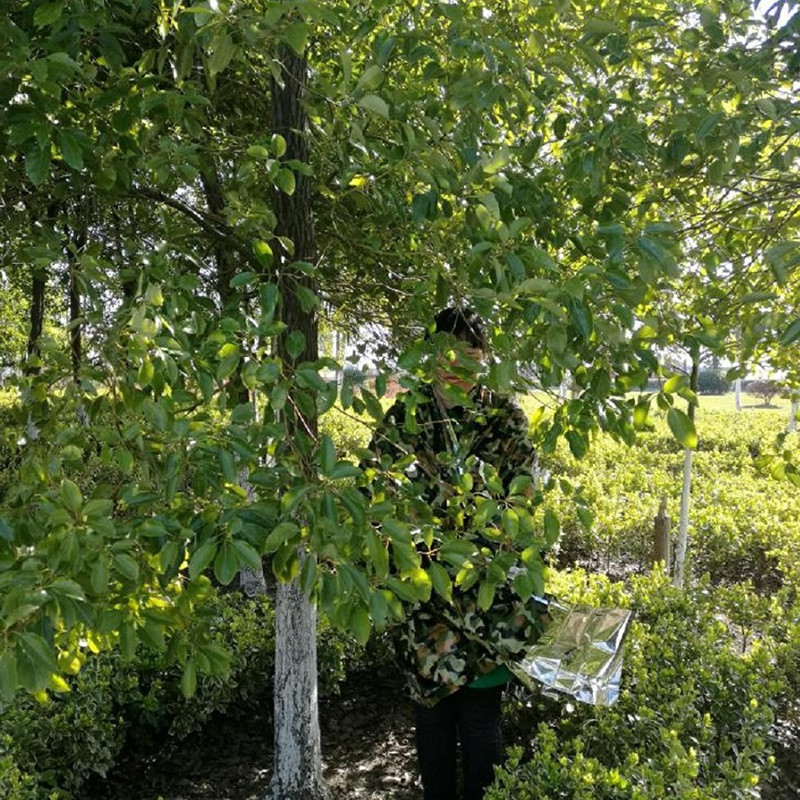 Avārijas termiskā pončo sega Viegla, saliekama, ūdensnecaurlaidīga, vēja necaurlaidīga saulessarga atkārtoti lietojama pārnēsājama kempinga paklājiņa spilventiņa pārvalks