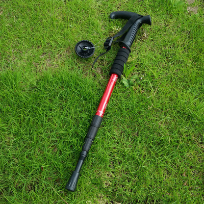 Planinarski štapovi za hodanje na otvorenom Podesivi štapovi za planinarenje Teleskopski skandinavski štapovi za hodanje Anti-Shock štap za planinarenje 55-110 cm