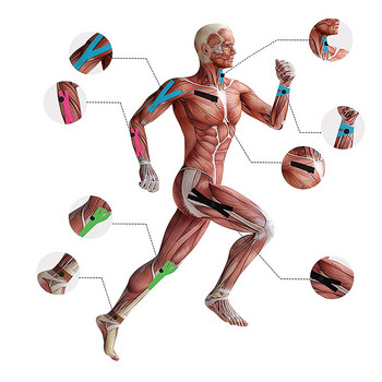 1 компютър кинезиологична лента, самозалепваща се атлетична превръзка, лента за спортно възстановяване, лента за каишка, фитнес, бягане, превръзка за протектор на мускулите на коляното