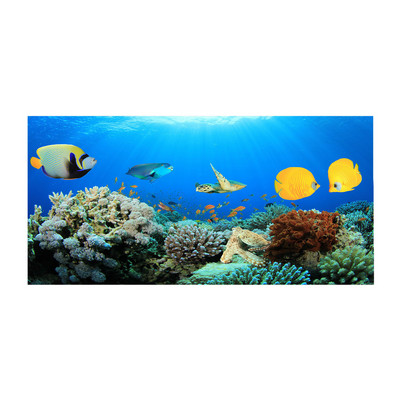 Gyorsan száradó mikroszálas fürdőlepedők 75*150cm Strandtörölköző Nagy Sport Törölközők Kempingtartozékok 1db #t2g