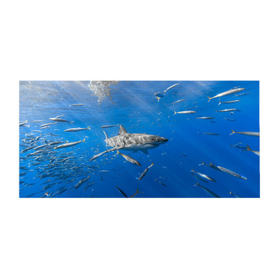 Gyorsan száradó mikroszálas fürdőlepedők 75*150cm Strandtörölköző Nagy Sport Törölközők Kempingtartozékok 1db #t2g