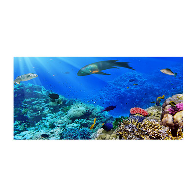 Gyorsan száradó mikroszálas fürdőlepedők 75*150cm Strandtörölköző Nagy Sport Törölközők Kempingtartozékok 1db #t2g