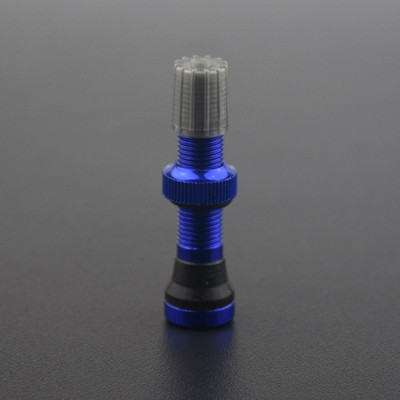 MTB jalgratta torudeta ventiiliga jalgratta velje rehvi rehv Schrader klappide jaoks 40 mm roostevaba jalgratta toruta klapiga jalgrattatarvikud