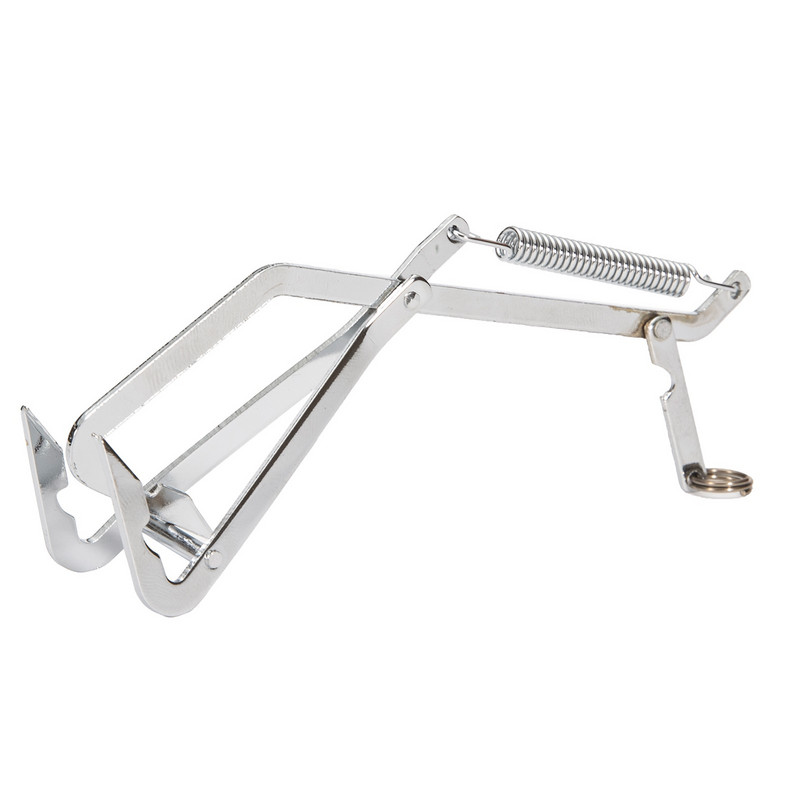 Clamp Fish Fishing Catcher Control Ανοξείδωτο Fish Weight in Bag Αξεσουάρ Γατόψαρο Βάθος Βάρος για πάγο Περισσότερα Time Walleye Talker