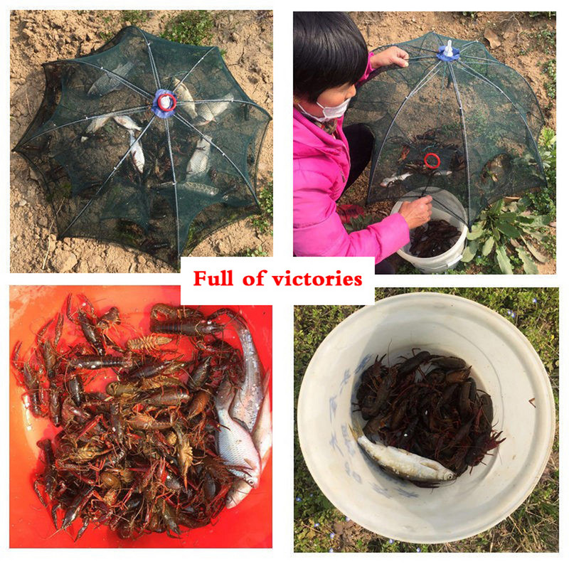 Sustiprintas 2–12 skylių automatinis žvejybos tinklas krevečių narvas nailoninis sulankstomas žuvų gaudyklė, užmetamas tinklas.