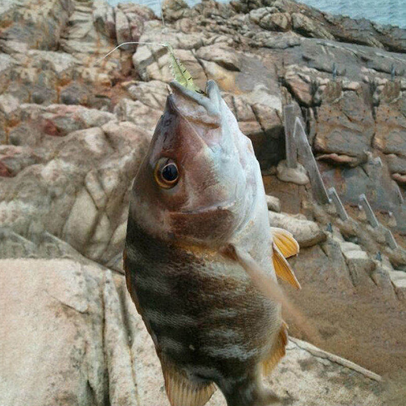 Šviečiantis krevečių silikoninis dirbtinis masalas, imituojantis minkštas krevetės su kabliukais Karpio vobleris, skirtas žvejybos reikmenims / masalams / priedams jūra