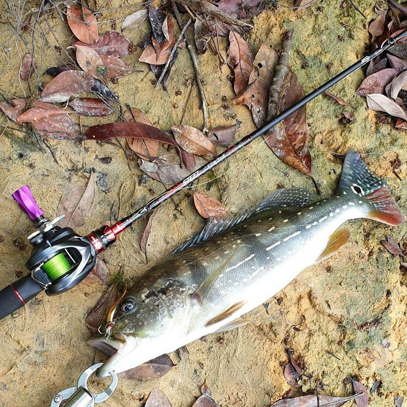 LUSHAZER linguriță momeală de pescuit 19g 8cm momeală metalică cupru momeală de pescuit Iscas momeală tare artificială Crap Pesca Spinnerbait