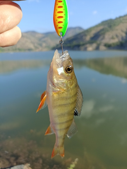 JYJ 5db zacskó Kemény fém horgászkanál csali, "S" alakú színes hamis csali pergető horgászfelszerelés wobbler csali