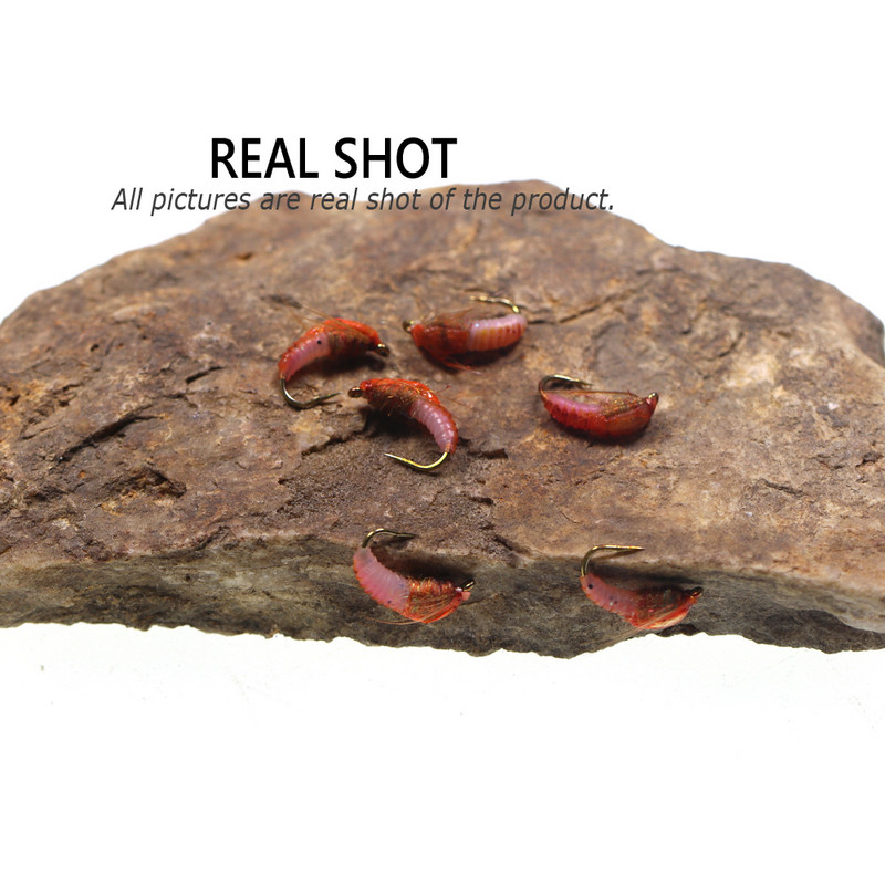 Bimoo 6PCS #12 #14 Classic Nymph Scud Fly Bug Worm for Trout Fishing Flies Nymphs Insect Bait Lure Καφέ Χρώμα