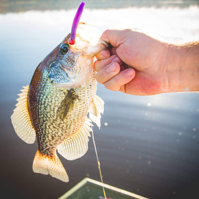 Püügikonks NED Jig Head Konks 1,6g 2,0g 3,0g 4,8Tugev mahakukkumisvastane lisakonksud mandariini kala plii ussikonks