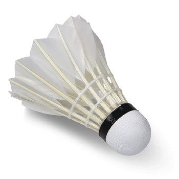 Badminton shuttlecocks πάπια μπάντμιντον Club-Level ερασιτεχνική μπάλα 3 τεμαχίων/σωλήνα δίχτυ μπάντμιντον με stand ball