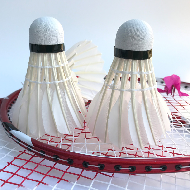 Badminton Shuttlecock White Goose lentos plunksnos skraidymas Stabilumas Patvarus Shuttlecock Kamuolys 3 vnt. / 6 vnt.