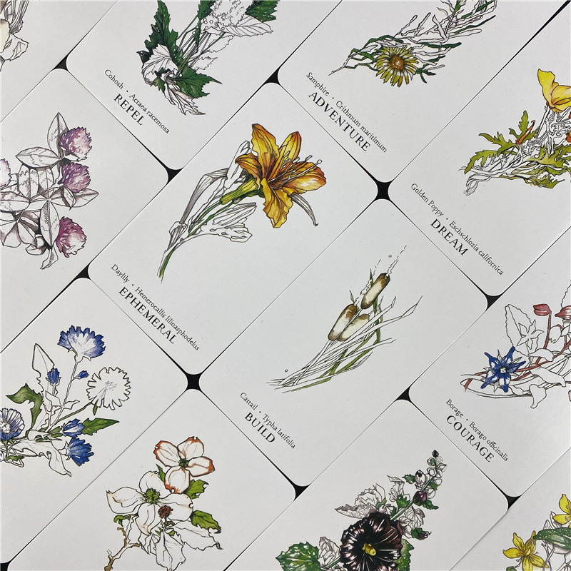 Най-продавани Hedge Witch Botanical Oracle Cards 40 Pcs Wisdom From The Boundary Lands Tarot Deck Games с PDF Ръководство