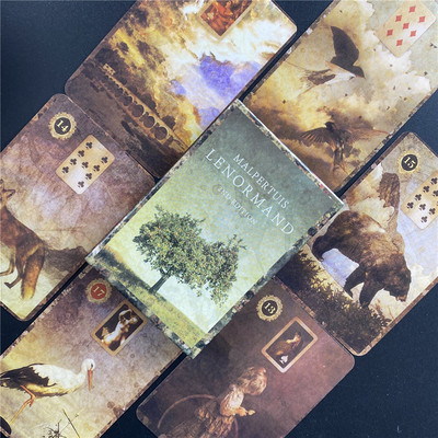 Uued vabamüürlaste tarokaardid ingliskeelse versiooniga mängulaud Oracle`i perepidu mängimine