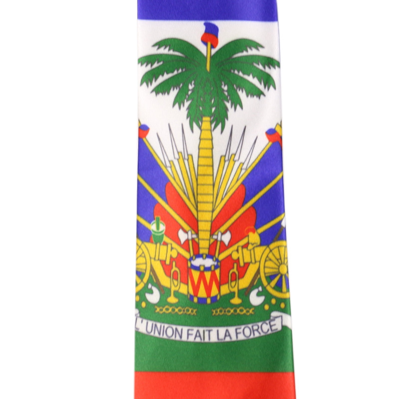 FOXMOTHER új divatos haiti zászlónyomat csokornyakkendő nyakkendő csokornyakkendő férfi női partihoz