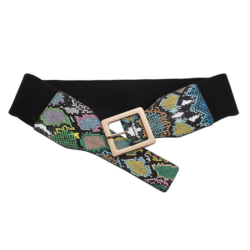 1kom ženski korzet sa zmijskim uzorkom Elastična haljina širokog struka Dekorativni modni visokokvalitetni pojasevi za žene Luksuzna dizajnerska marka