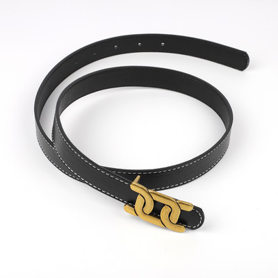 Naiste Vööd Tüdrukute Mood Luksuslik Disainer Leopard Vöökoht Nahast Vöö PU Metallist Pandlaga Vöö Vabaaja Kleit Teksad Metsik Vöökoht