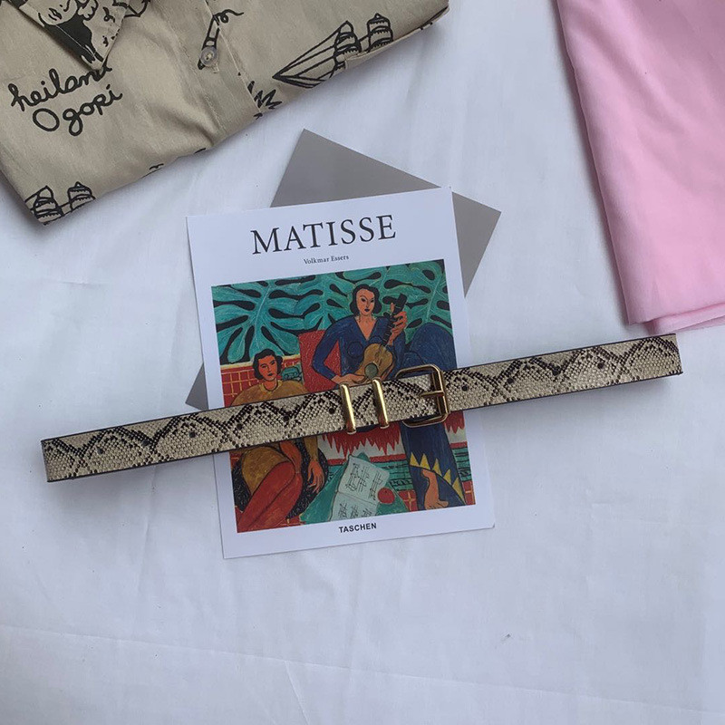 Kígyóbőr Nyomtatott Övek Női Arany Négyzet Pin csat derékpánt PU Bőr Öv Nadrág Ruha Derék övek Nőknek