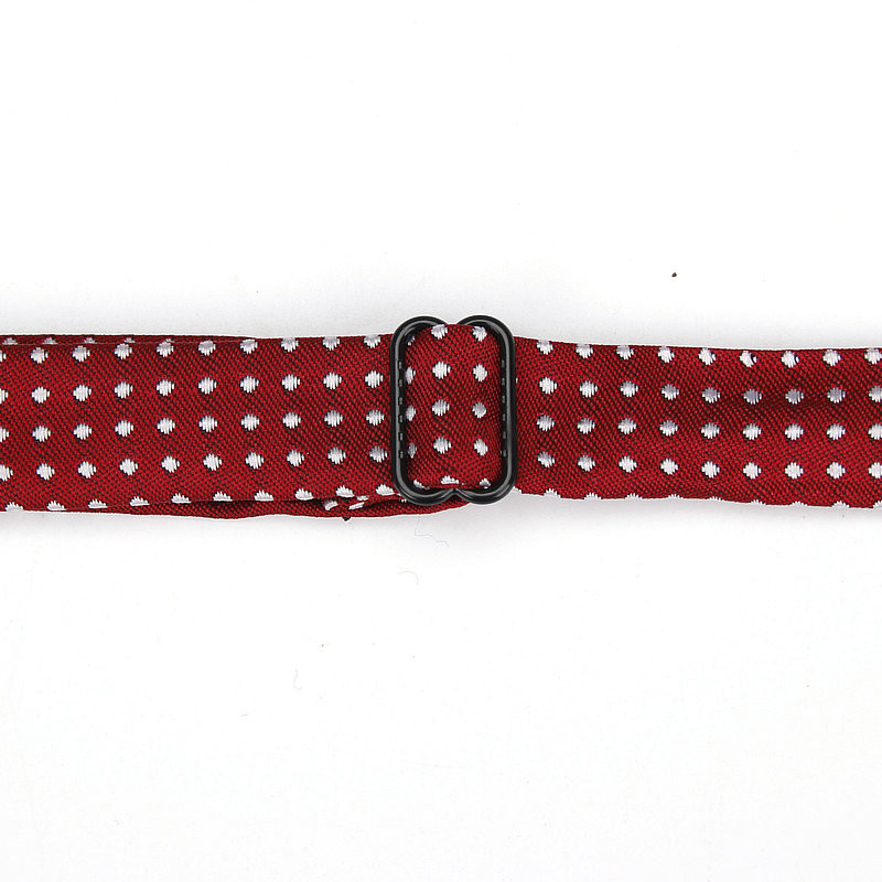 Ianthe Muška modna formalna leptir mašna od poliestera Klasične točkaste leptir mašne Šarene leptir leptir svadbena zabava Pet leptir leptir leptir leptir smoking Kravate oko vrata