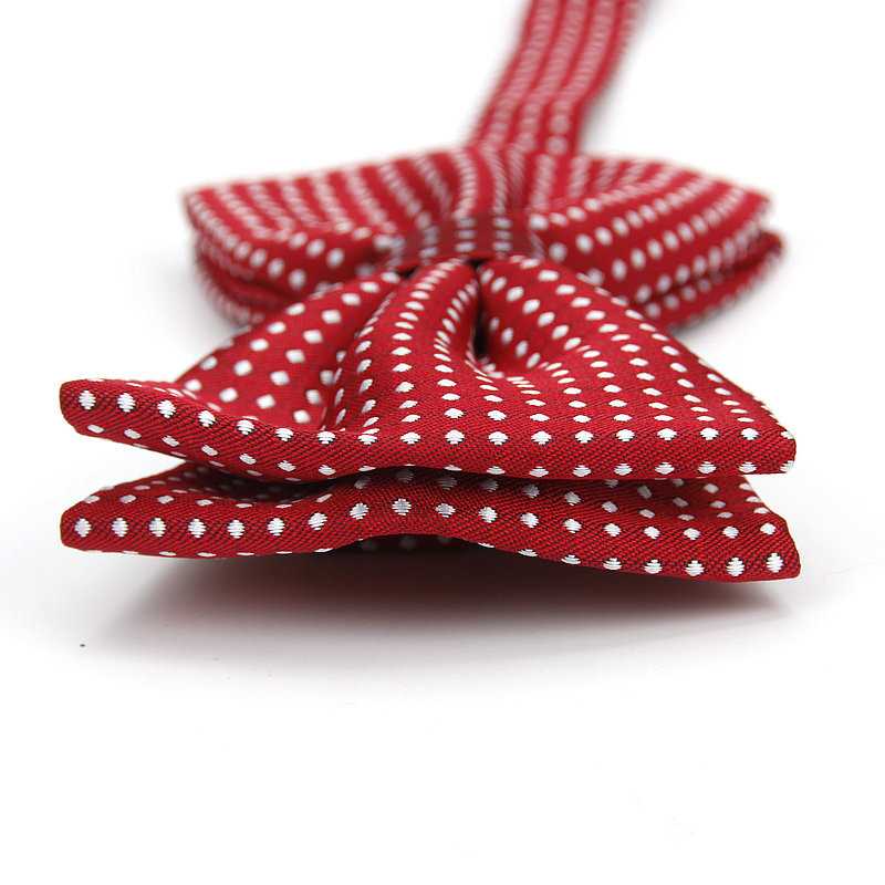 Ianthe Muška modna formalna leptir mašna od poliestera Klasične točkaste leptir mašne Šarene leptir leptir svadbena zabava Pet leptir leptir leptir leptir smoking Kravate oko vrata