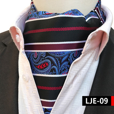 Luksuslikud meeste vintage Paisley ruudulised täpilised pulmalised pidulikud Cravat Ascot lipsud