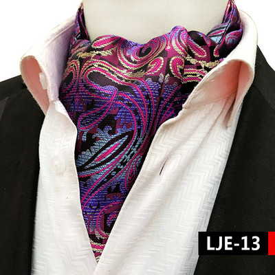 Luksuslikud meeste vintage Paisley ruudulised täpilised pulmalised pidulikud Cravat Ascot lipsud