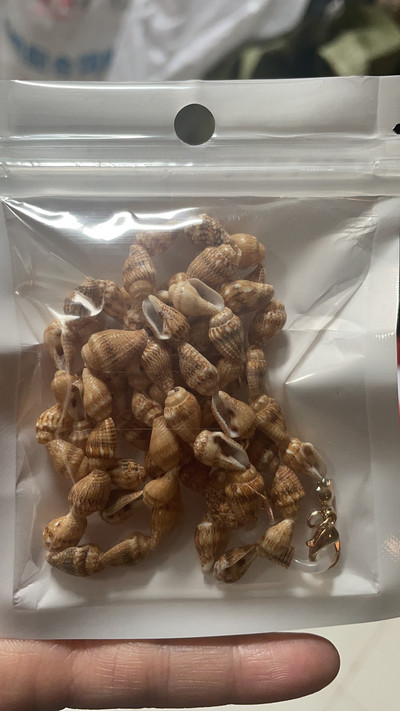 Modna školjka školjka naočale za čitanje lanac sunčane naočale naočale držač uzice remen oko vrata uže ogrlica konac za naočale