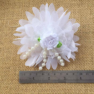 2gab Bleum Home Kid Gudrs lielas mežģīnes Roku darbs balti mežģīņu ziedi Matu sprādzes Prefekts matu sprādzes dāvanu komplekts bantes Matu aksesuāri Matu rokturis