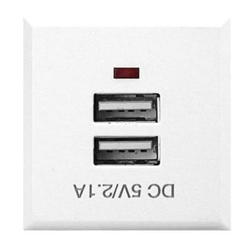 Νέα διπλή υποδοχή USB Type-C QC Power Panel Ενσωματωμένη υποδοχή επιτραπέζιου USB Υποδοχή AC Power Charging Module Black White 5V 2.1A