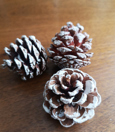 Dječji ukrasi za rođendansku tortu Divlje šumske životinje Vjeverica Zec Jelen Model Ukrasi Čestitka Dječja jednogodišnja zabava