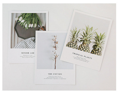 Mada Nauja Šiaurės šalių kortelė INS Dekoracija Foto Rekvizitai Fotografavimo Rekvizitai Žurnalas Foto Sienų Fono Popierius