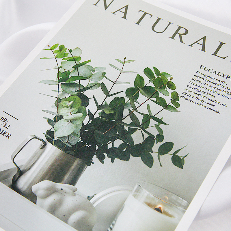 Mada Nauja Šiaurės šalių kortelė INS Dekoracija Foto Rekvizitai Fotografavimo Rekvizitai Žurnalas Foto Sienų Fono Popierius