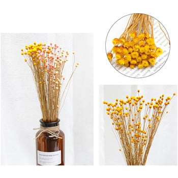 50Pcs Artificial Flower INS Photography Ornaments Αποξηραμένα λουλούδια Διακοσμητική Φωτογραφία Διακόσμηση σπιτιού Διακόσμηση σκηνικού φωτογραφίας