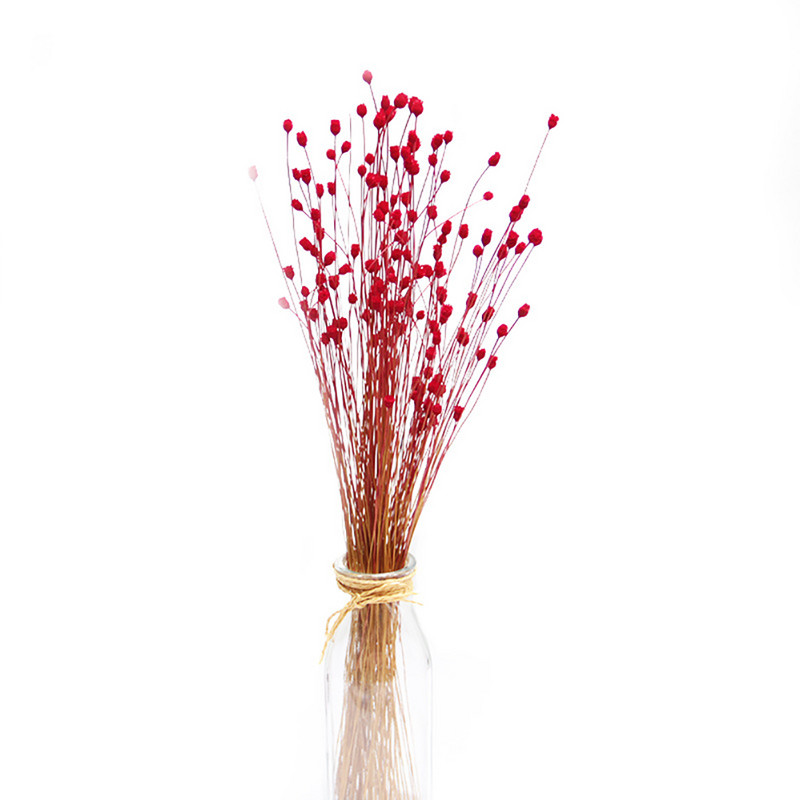 50 tk Kunstlillede INS-i fotograafia kaunistused Kuivatatud lilled Dekoratiivne fotograafia Kodukaunistused Fotode taustadekoratsioonid