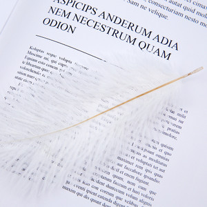 Aukštos kokybės baltos natūralios stručio plunksnos fotografijos aksesuarai „pasidaryk pats“ papuošimai apyrankėms žiedams papuošalams lūpų dažams makiažui