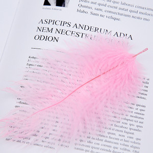 Aukštos kokybės baltos natūralios stručio plunksnos fotografijos aksesuarai „pasidaryk pats“ papuošimai apyrankėms žiedams papuošalams lūpų dažams makiažui