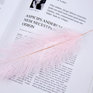 Aukštos kokybės baltos natūralios stručio plunksnos fotografijos aksesuarai „pasidaryk pats“ papuošimai apyrankėms žiedams papuošalams lūpų dažams makiažui