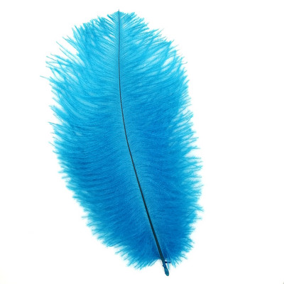 Aukštos kokybės baltos natūralios stručio plunksnos fotografijos aksesuarai „pasidaryk pats“ papuošimai apyrankėms žiedams papuošalams lūpų dažams makiažui