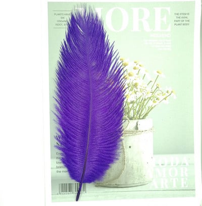 Aukštos kokybės baltos natūralios stručio plunksnos fotografijos aksesuarai „pasidaryk pats“ papuošimai apyrankėms žiedams papuošalams lūpų dažams makiažui