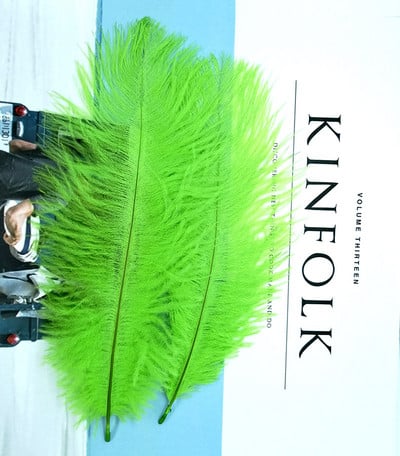 Aukštos kokybės baltos natūralios stručio plunksnos fotografijos aksesuarai „pasidaryk pats“ papuošimai apyrankėms žiedams papuošalams lūpų dažams makiažui