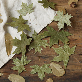Естествени кленови листа, сухи листа, есенна есенна зеленина, червен оригинален цвят за фотографски реквизит Аксесоари за фотостудио Декорация