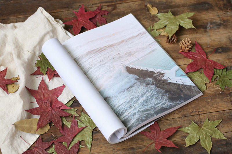 Prirodni javorov list Suho lišće Jesen Jesen Lišće Crvena Izvorna boja za rekvizite za fotografiranje Dodaci za foto studio Dekoracija