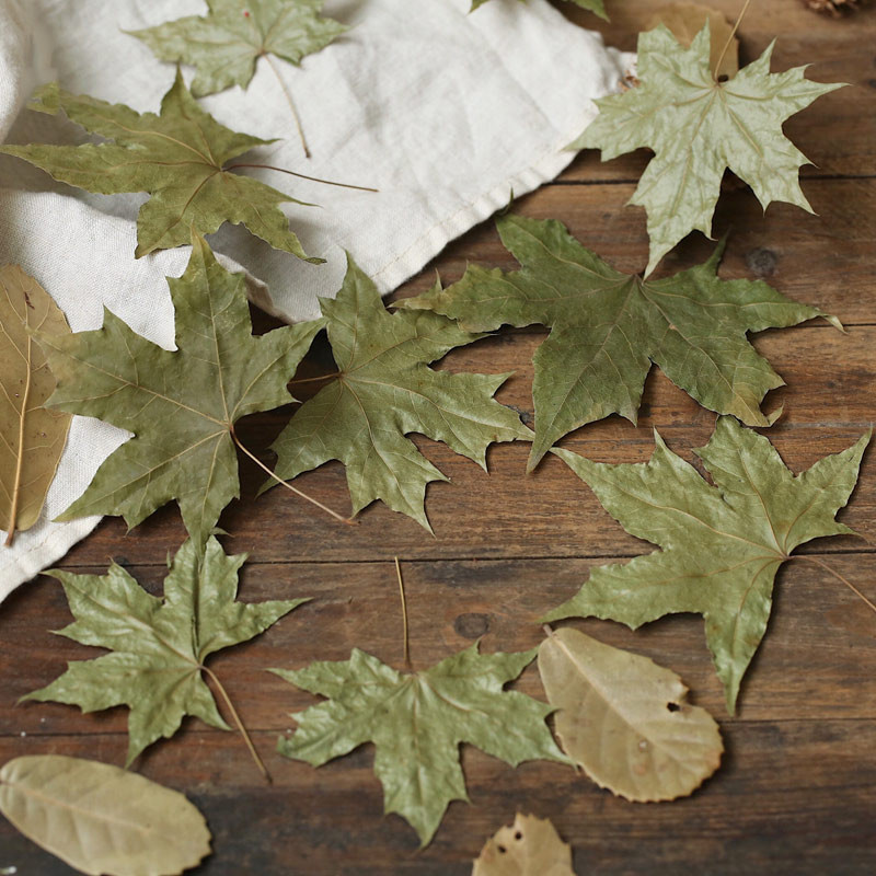 Prirodni javorov list Suho lišće Jesen Jesen Lišće Crvena Izvorna boja za rekvizite za fotografiranje Dodaci za foto studio Dekoracija
