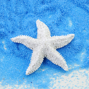 Peened kaunistused, naturaalsed kestad, merekarbi simulatsioonid, vaik meritäht sinine liiv rannakäsitöö fotode taustade fotograafia rekvisiidiks