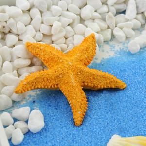 Peened kaunistused, naturaalsed kestad, merekarbi simulatsioonid, vaik meritäht sinine liiv rannakäsitöö fotode taustade fotograafia rekvisiidiks