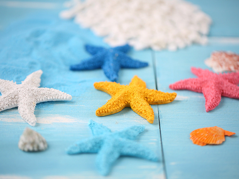 Izvrsni ukrasi Prirodne školjke Simulacija školjke Smola Morska zvijezda Plavi pijesak Plaža Zanat za foto pozadinu Rekviziti za fotografije