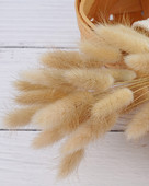 15 buc/lot Iarbă coadă de iepure Flori uscate naturale de înaltă calitate Fotografie Fotografie Studio Recuzită Fundal Podoabe DIY